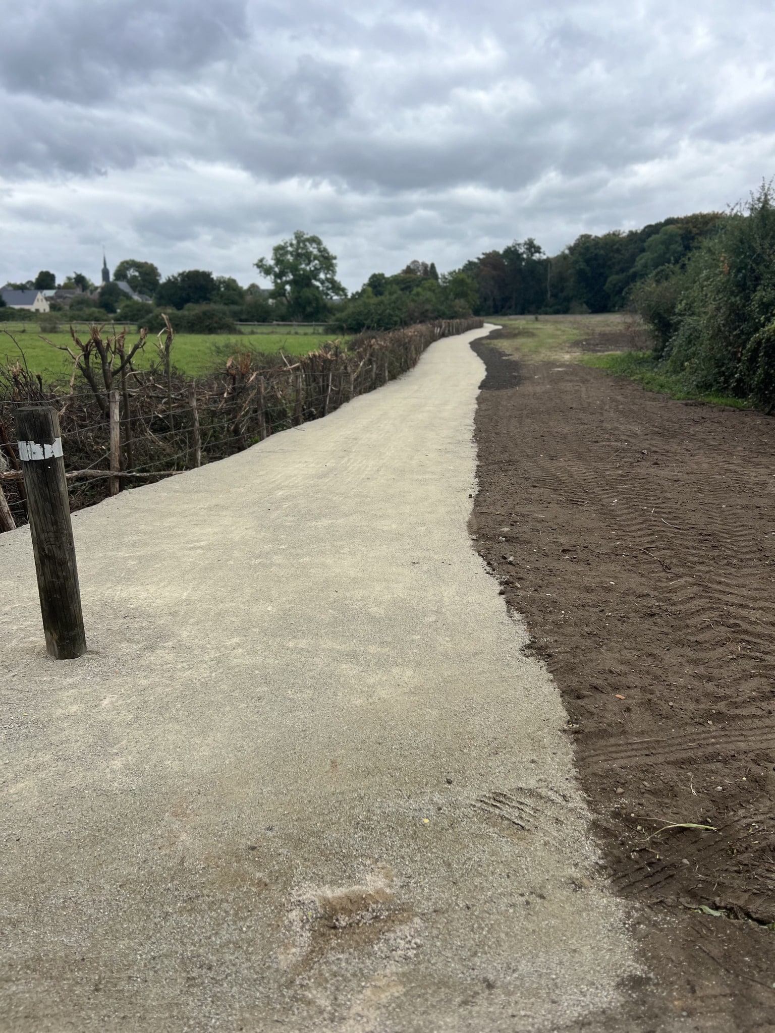 551503368_1195704152583772_571874277208374094_n